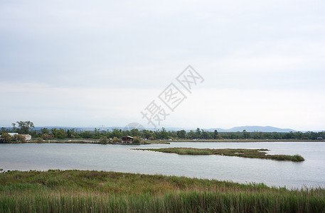 拉鲁湿地伊索拉迪耶拉锥形植被自然保护区湿地小马废墟背景