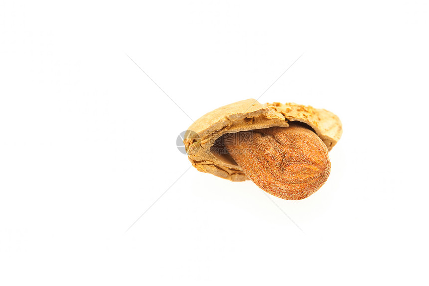 白上孤立的杏仁食物木头种子白色力量宏观美食棕色圆圈坚果图片