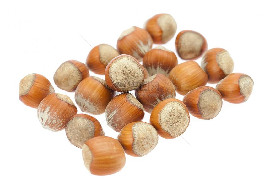 白上孤立的栗子白色棕色食物小吃坚果种子宏观豆类工作室榛子图片