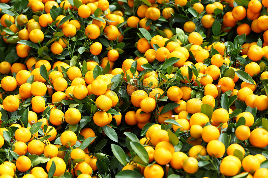 中华新年普通中文水果团体甜点黄色热带橙子果汁叶子植物食物图片