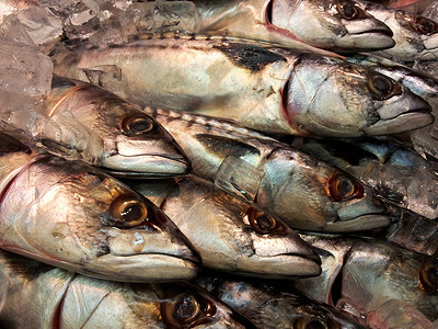 新鲜全竹鱼食用高清图片素材