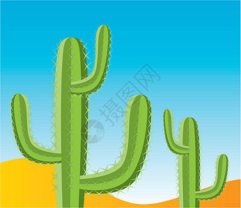 沙漠中的绿色沙漠中的矢量仙人掌蓝色季节生活黄色天空叶子橙子植物绘画绿色插画