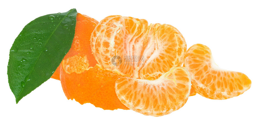近交针橙子叶子食物水果图片