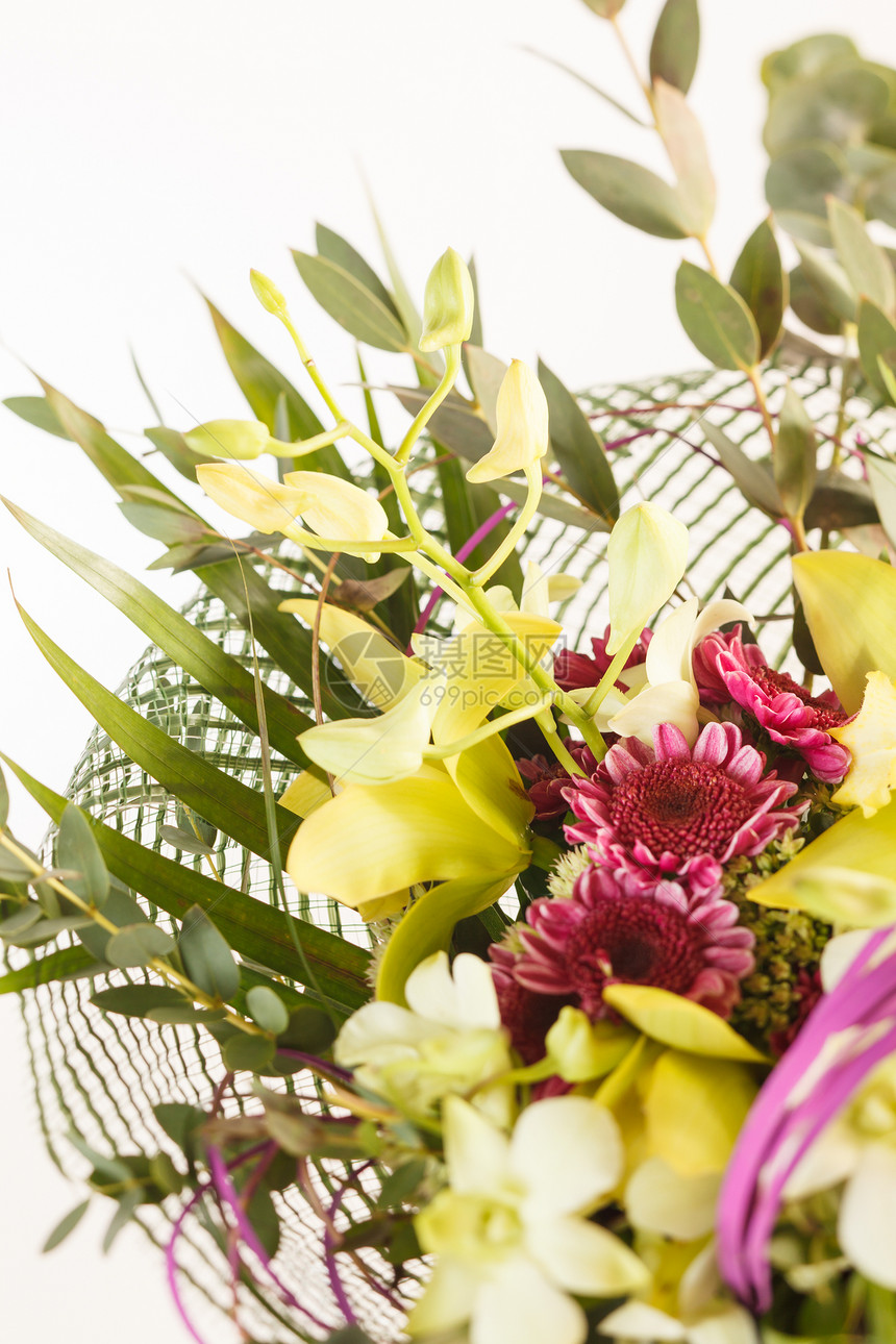 漂亮的鲜花植物群百合花瓶蕨类兰花礼物雏菊花瓣菊花妈妈图片