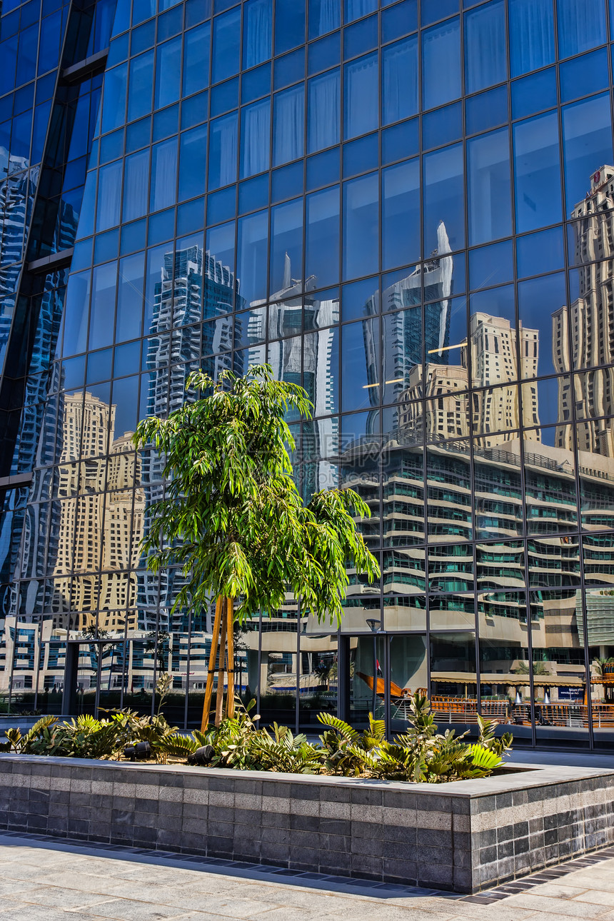 镜子玻璃中倒影背景的树上写着叶子酒店商业反射蓝色玻璃景观建筑学城市办公室图片