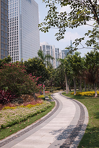 花园中的公路景观路面途径人行道花朵绿色曲线衬套城市公园背景图片