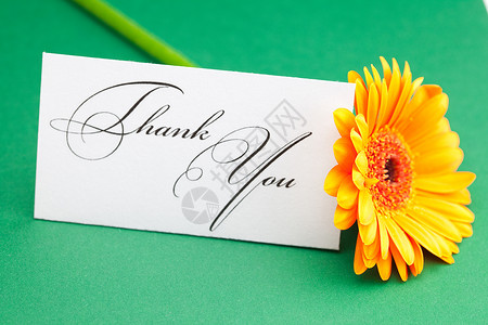 老爸谢谢您Gerbera和卡片签名 谢谢您绿色背景叶子植物玫瑰邀请函礼物美丽脚本场地雏菊写作背景