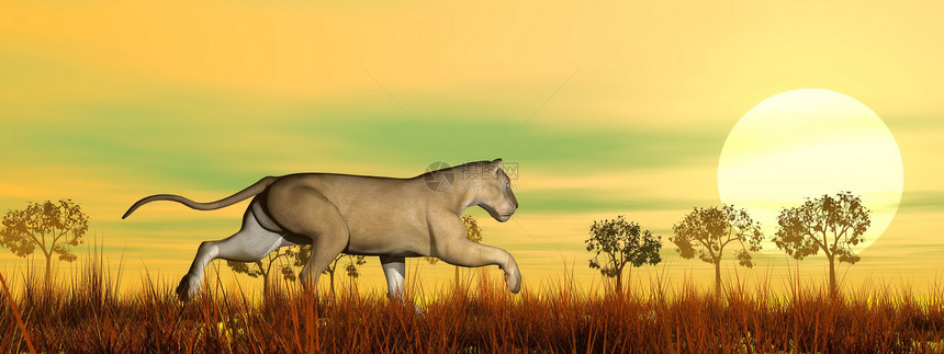 在草原上奔跑的狮子狮 3D化身图片