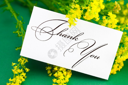 老爸谢谢您黄色菊花和卡片签名 谢谢您绿色背景回应感激植物写作脚本邀请函礼物场地雏菊玫瑰背景