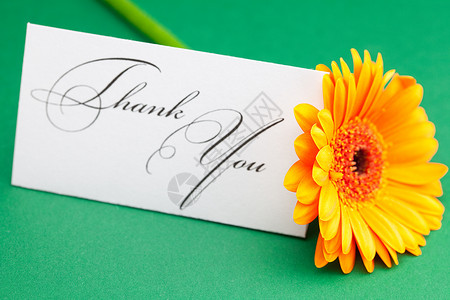 老爸谢谢您Gerbera和卡片签名 谢谢您绿色背景植物雏菊邀请函写作叶子礼物场地玫瑰洋甘菊回应背景