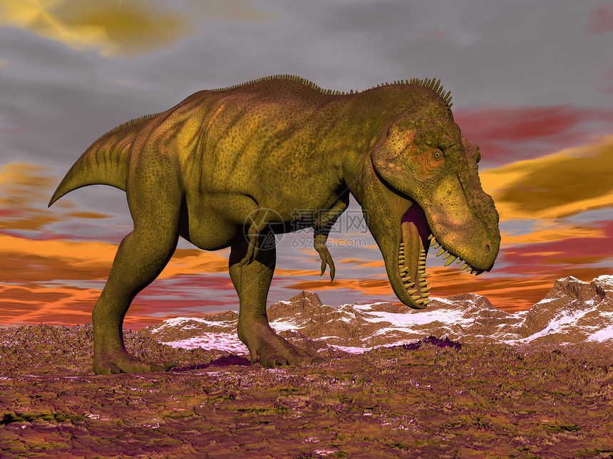 暴龙叫喊  三维化身蜥蜴插图古生物学灭绝侏罗纪橙子力量恐龙沙漠生物图片
