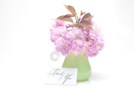 花瓶和卡片上签了名 谢谢你们被隔离墨水回应笔记植物感激玻璃花束邀请函框架写作背景图片