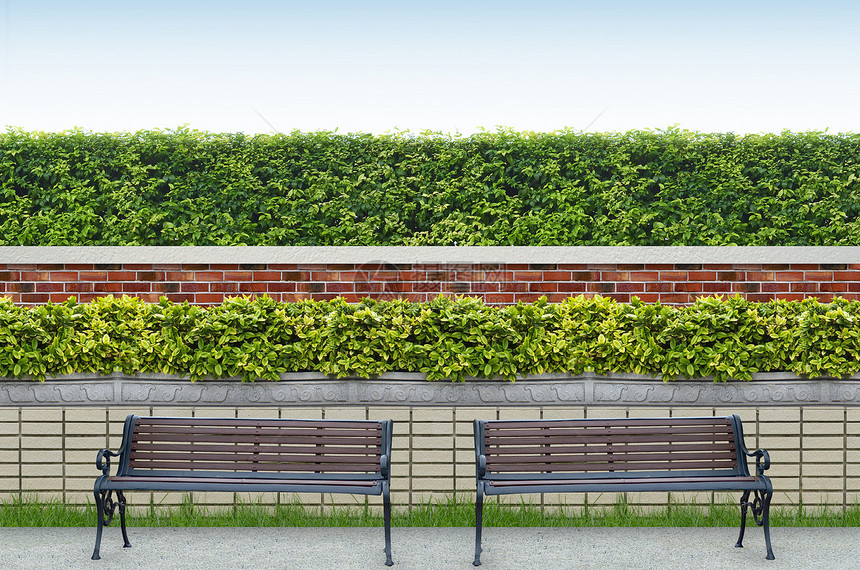 长凳和砖墙背景蓝色栅栏衬套天空树篱灌木绿色建筑学叶子图片