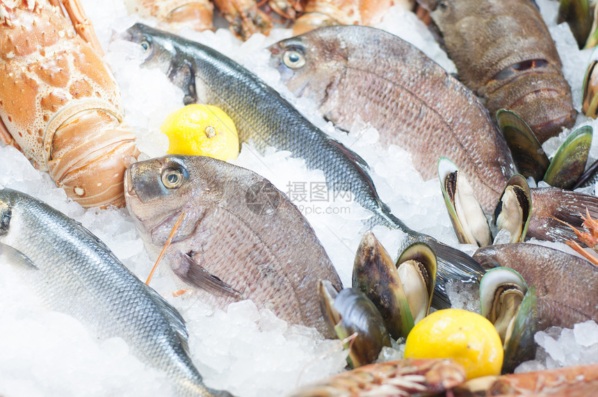 新鲜海鲜盘子饮食章鱼海洋营养龙虾食物乌贼香葱市场图片