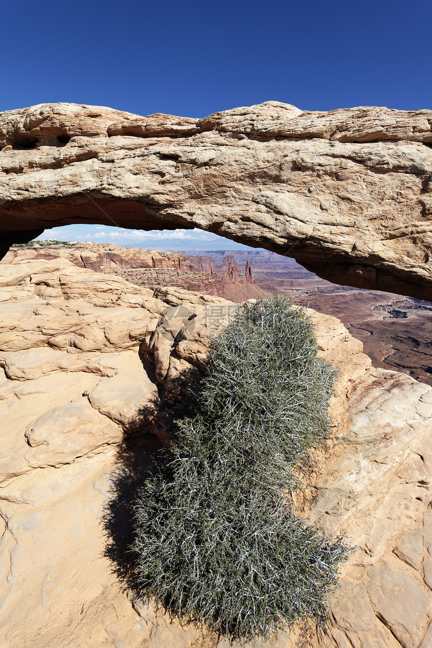 Mesa Arch 的垂直视图图片