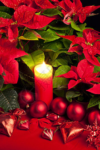 圣诞节依然与波因塞蒂亚同在花朵静物传统内饰符号红色蜡烛背景图片