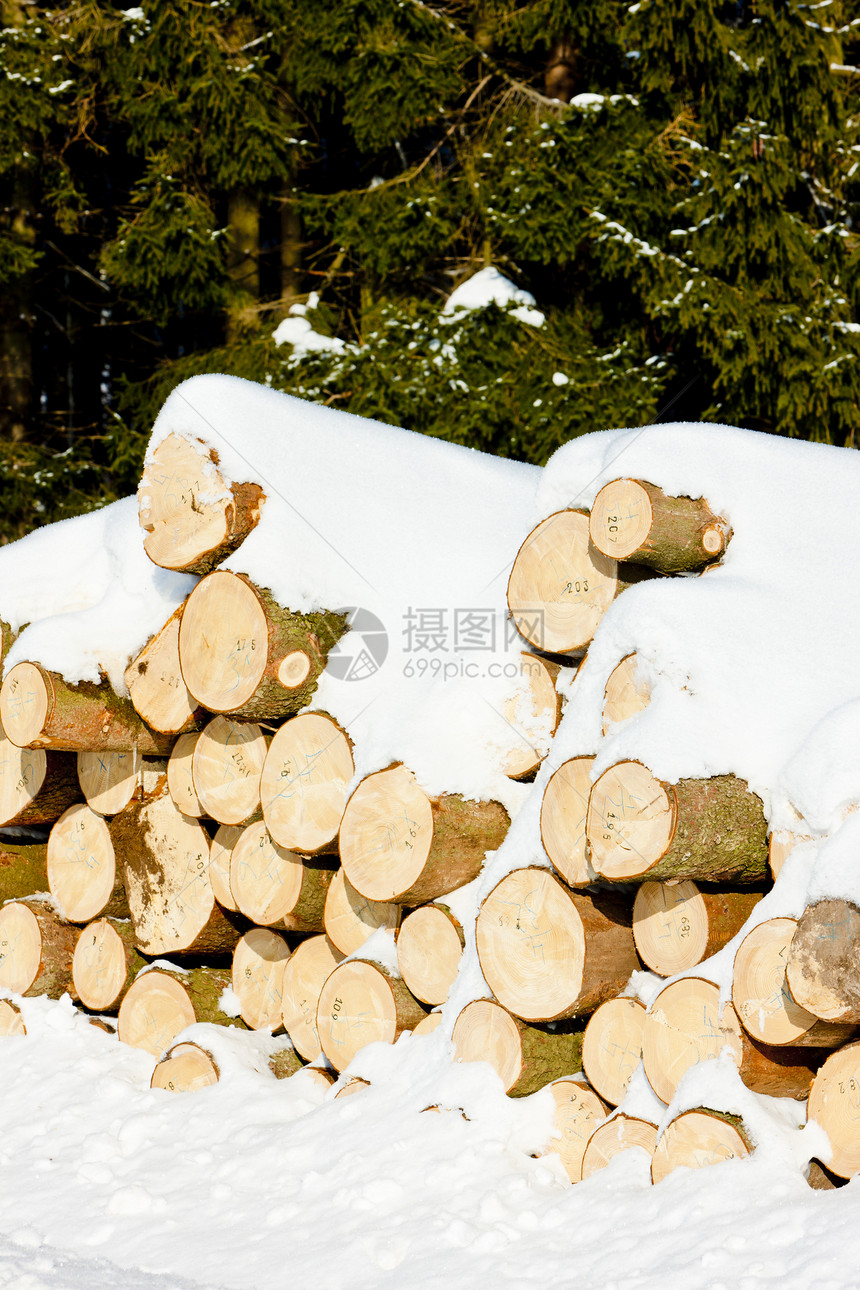 雪雪覆盖的圆木木头外观日志图片