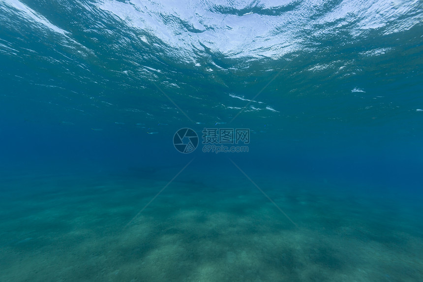 红海热带水域植物异国阳光珊瑚射线场景蓝色潜水海景情调图片