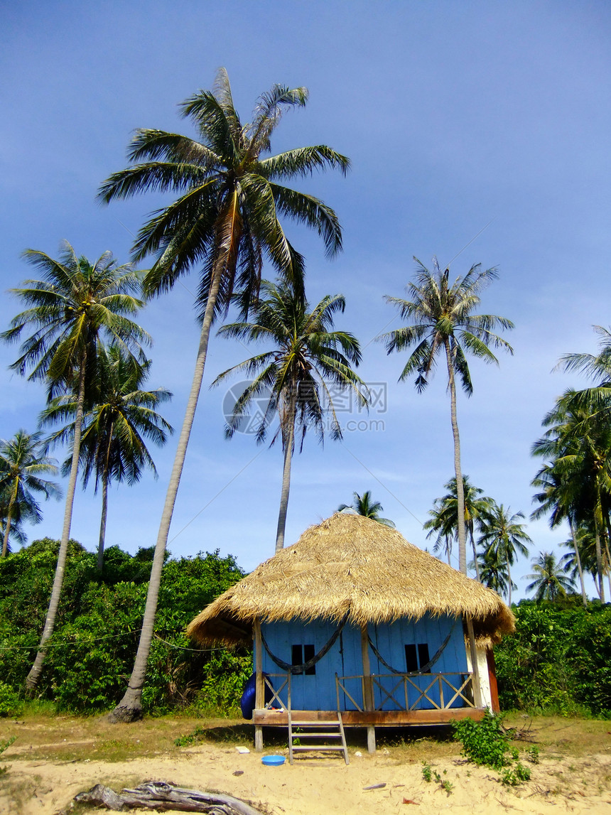 热带岛屿上的伍德宾馆旅游海滩树木钓鱼竹子海湾海岸海洋棕榈海岸线图片
