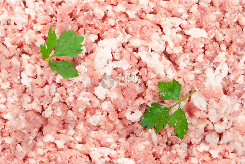 猪粉薄荷红色倾斜美食宏观绿色地面营养香菜草药羊肉图片