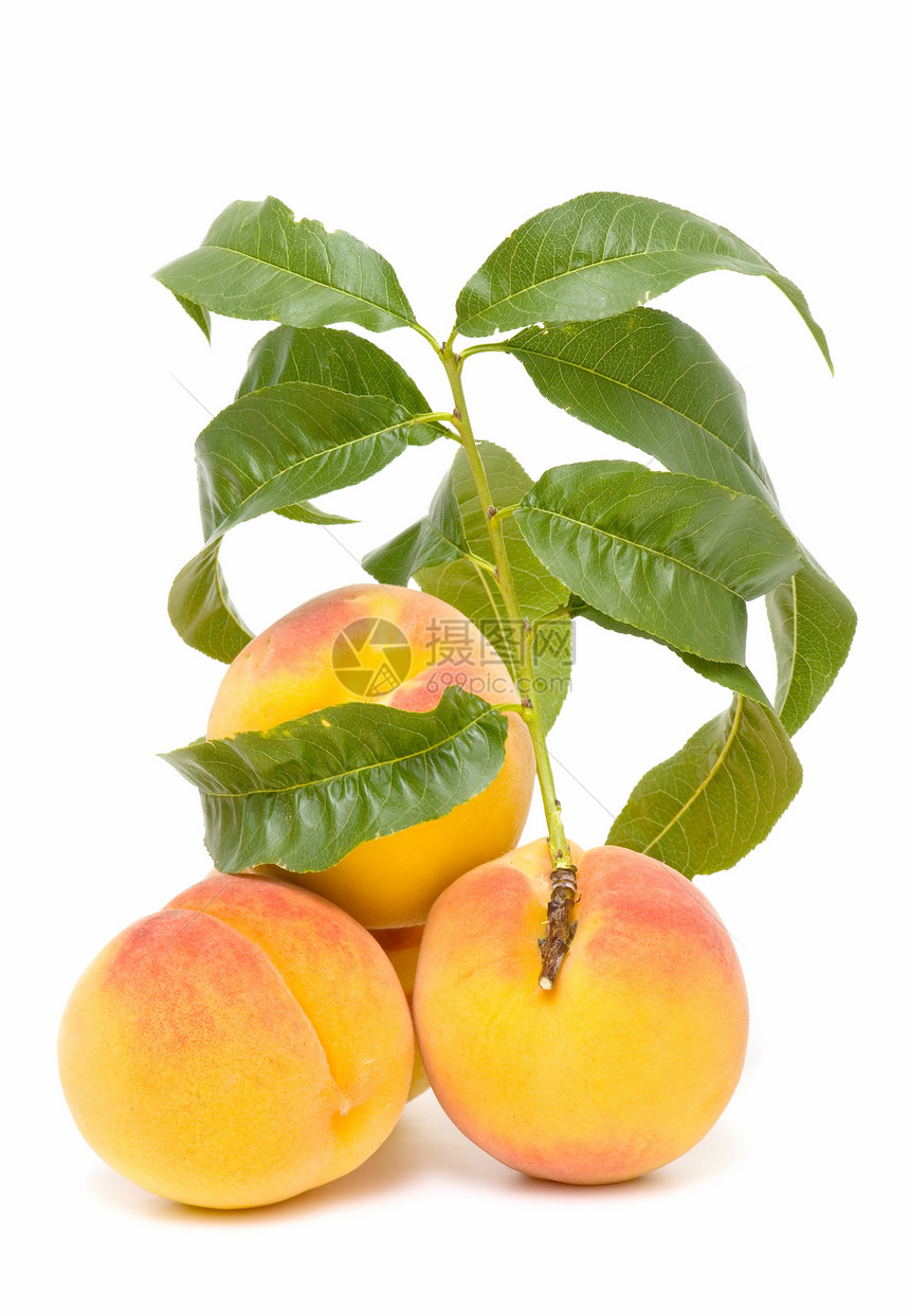 新鲜桃子维生素植物素食季节水果白色甜点植物群饮食食物图片