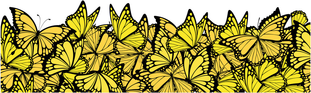 蝴蝶边框插图热带鳞翅目君主边界昆虫民众黄色翅膀飞行背景图片