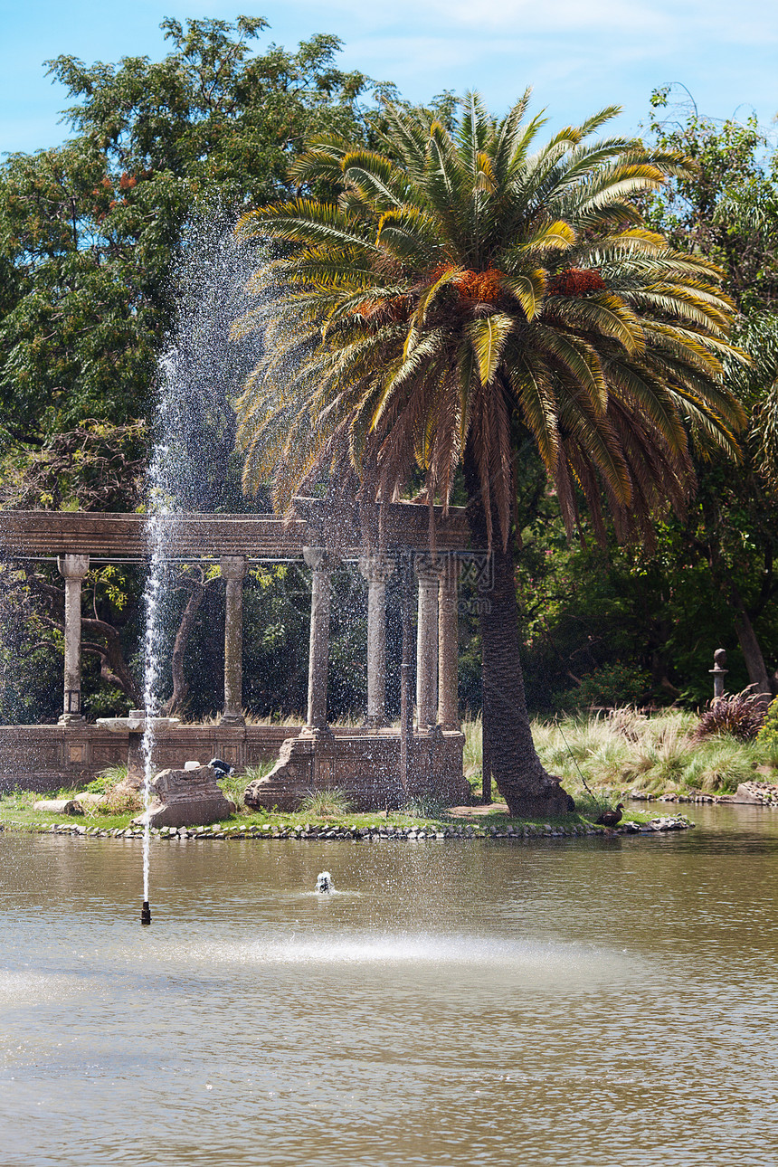 椰枣树 树木和灿蓝的云边的泉源旅行池塘建筑学地标水库城市公园小路雕像建筑图片