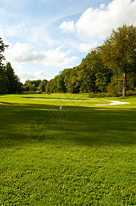 高尔夫课程掩体陷阱推杆旗帜场地草地森林运动游戏球道背景图片