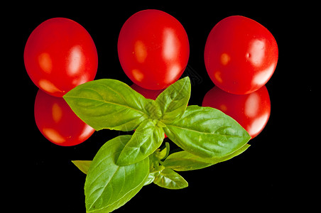 含有番茄的basil熟食植物烹饪草本植物蔬菜草本香蒜树叶红色香料背景图片