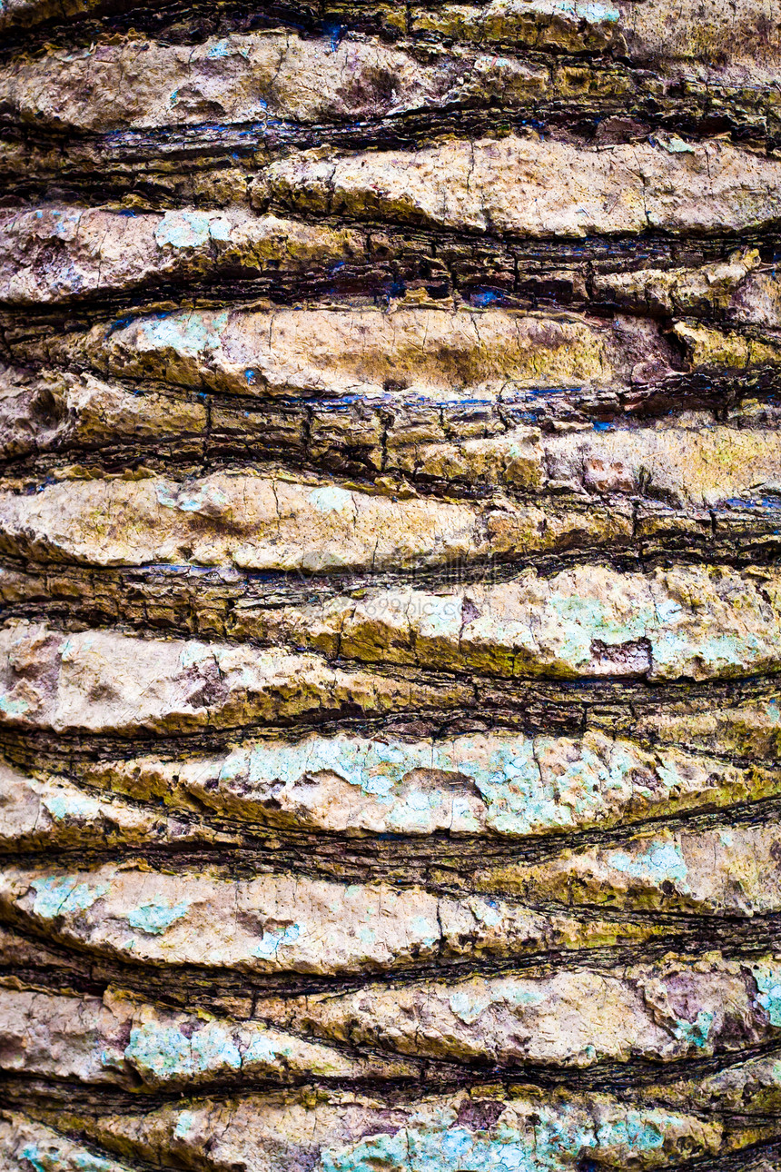 树皮情调插图材料剥皮图层纤维木头风化棕榈异国图片