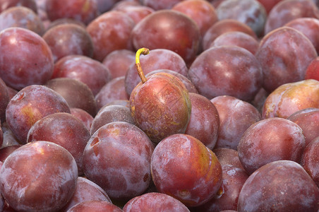 李子季节营养水果墙纸收成团体食物小吃饮食浆果背景图片