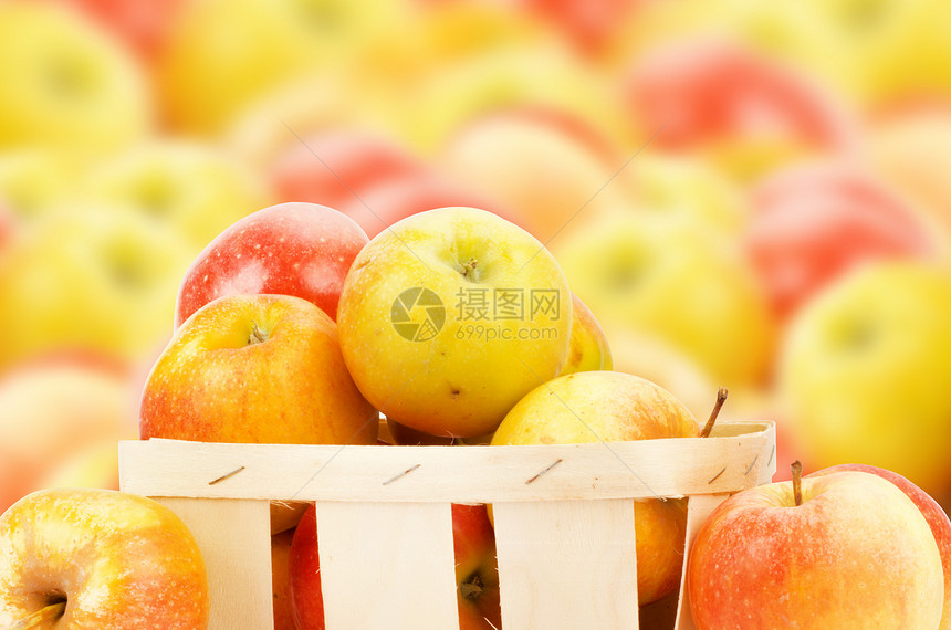 新鲜多彩苹果农业篮子叶子红色黄色水果食物季节蔬菜绿色图片