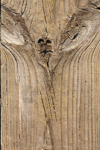 木板纹理材料线条节点硬木静脉木头木工腐烂地面木材背景图片
