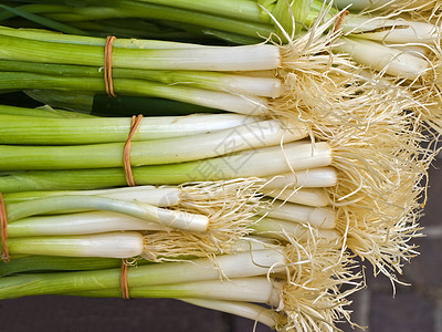 春季洋葱产品香料烹饪药品蔬菜销售食物市场医疗气味背景图片