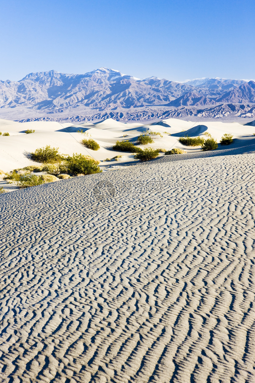 卡利福恩死亡谷国家公园水井沙沙沙沙沙丘沙漠沙丘风景衬套流沙起伏世界位置植物群山脉图片
