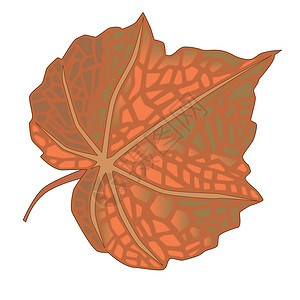 秋叶叶棕色背景图片