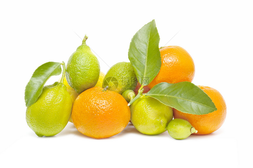 白色背景上隔离的新鲜橙子和柠檬素食植物食物石灰绿季节水果农业图片