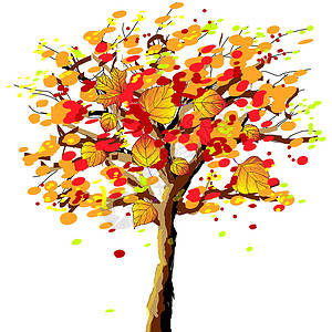 秋秋背景 eps10森林网络作品叶子环境天空橙子海报植物学卡片背景图片