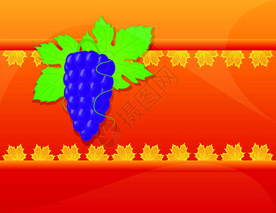 有机葡萄背景橙子黄色漩涡植物群庆典插图灯笼背光红色框架设计图片