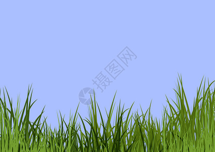 蓝色天空和草草背景图片