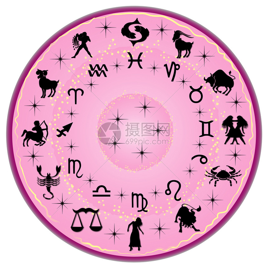 Zodiac 盘片十二生肖八字双胞胎光盘内存星星癌症处女迷信插图图片