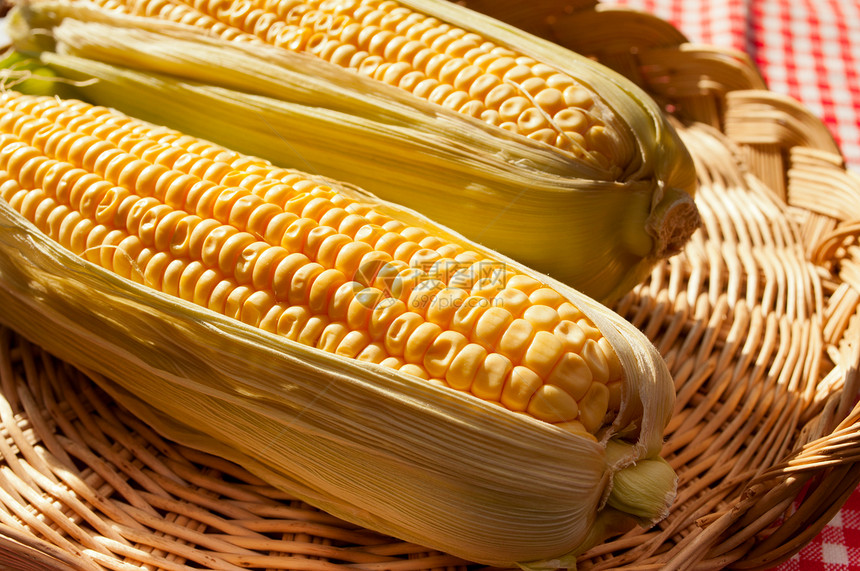 玉米鳕卡车蔬菜粮食饮食农场宏观农业烹饪阳光晴天图片