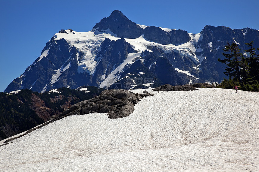 Snowfields 艺术家点Shuksan山华盛顿州图片