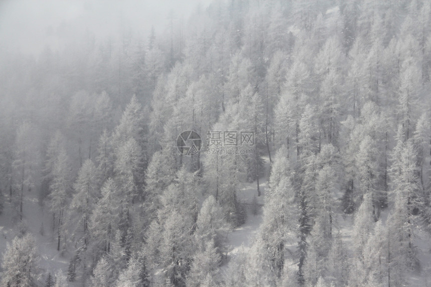 冬季山中美丽的林林国家气候木头公园天空旅行季节天气假期树木图片