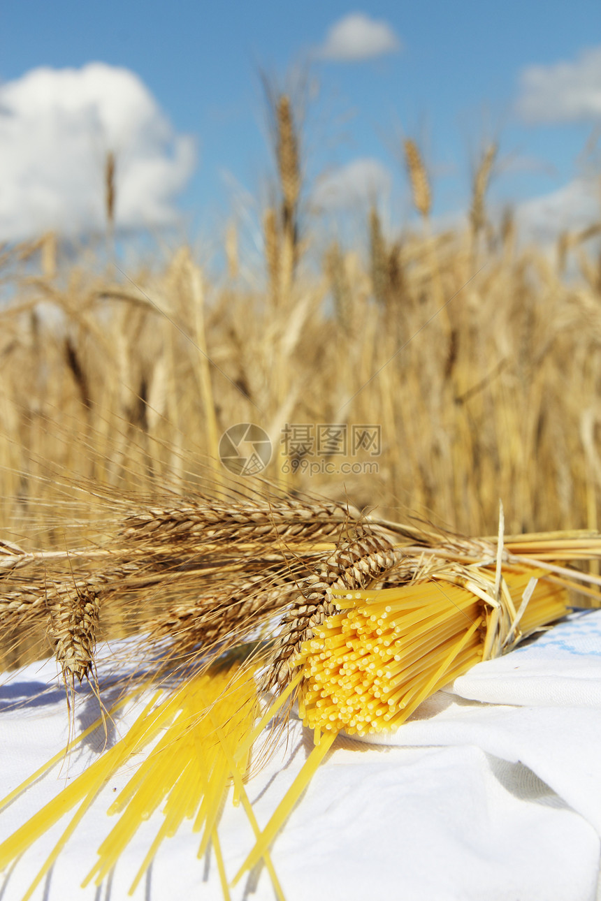 户外意大利面和小麦食物谷物玉米健康饮食面条植物种子生长营养金子图片