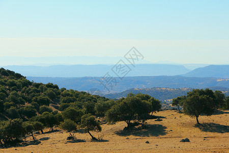 西班牙的西班牙地貌村庄阳光国家草地全景场景森林气候旅游农村天空高清图片素材