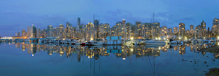 不列颠哥伦比亚 BC 下城港天线图片