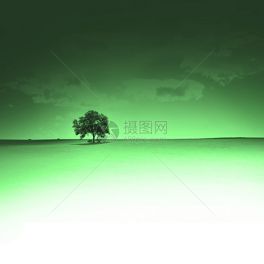独木的树蓝色土地植物生长环境艺术森林草原场景绿色植物图片