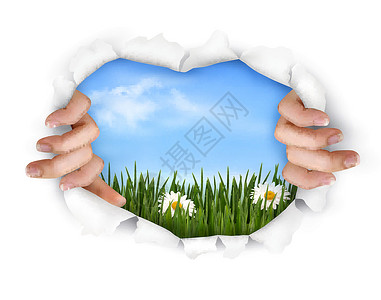 蓝色草自然背景 手用手撕纸 矢量设计图片