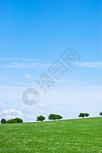 草木和天空 - 纵向高清图片